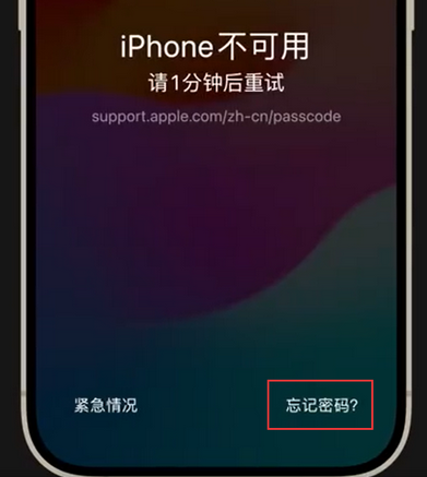 青海苹果手机密码维修分享iPhone忘记了刚设置的密码 